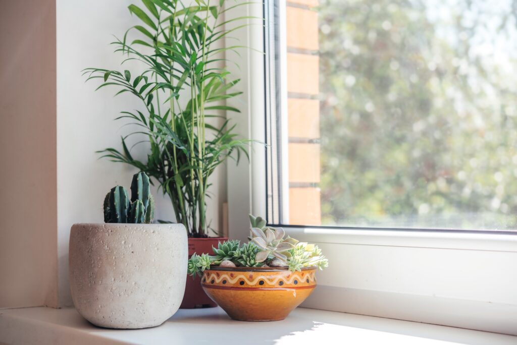 thermal window tinting Oakland